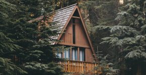 david-kovalenko-9-qFzV9a2Zc-unsplash